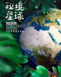 1月新基金发行规模同比增长